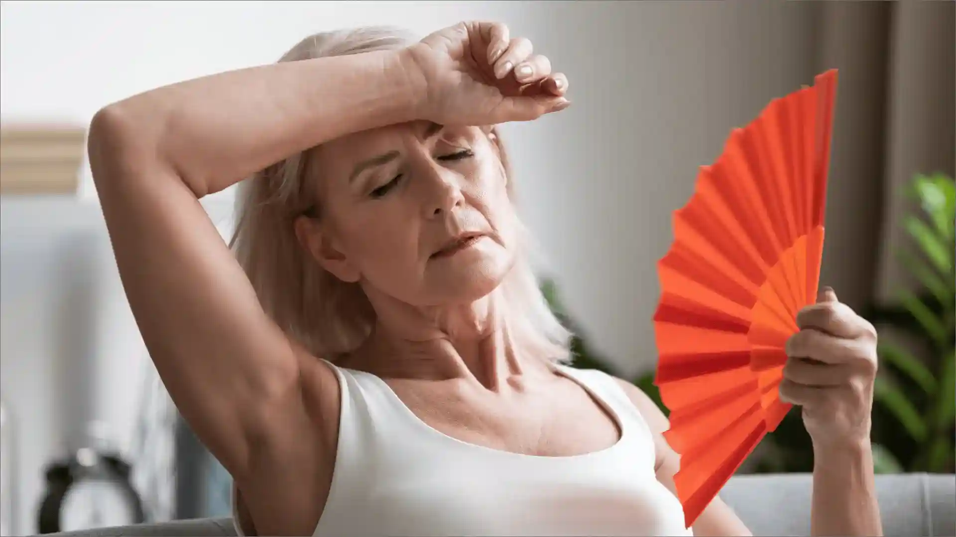 Climaterio y menopausia