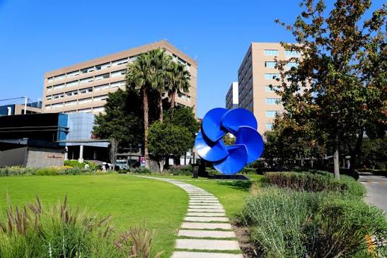 Respaldo de Hospital Médica Sur
