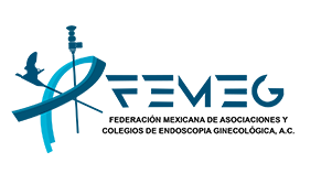 FEMEG — Federación Mexicana de Asociaciones y Colegios de Endoscopía Ginecológica